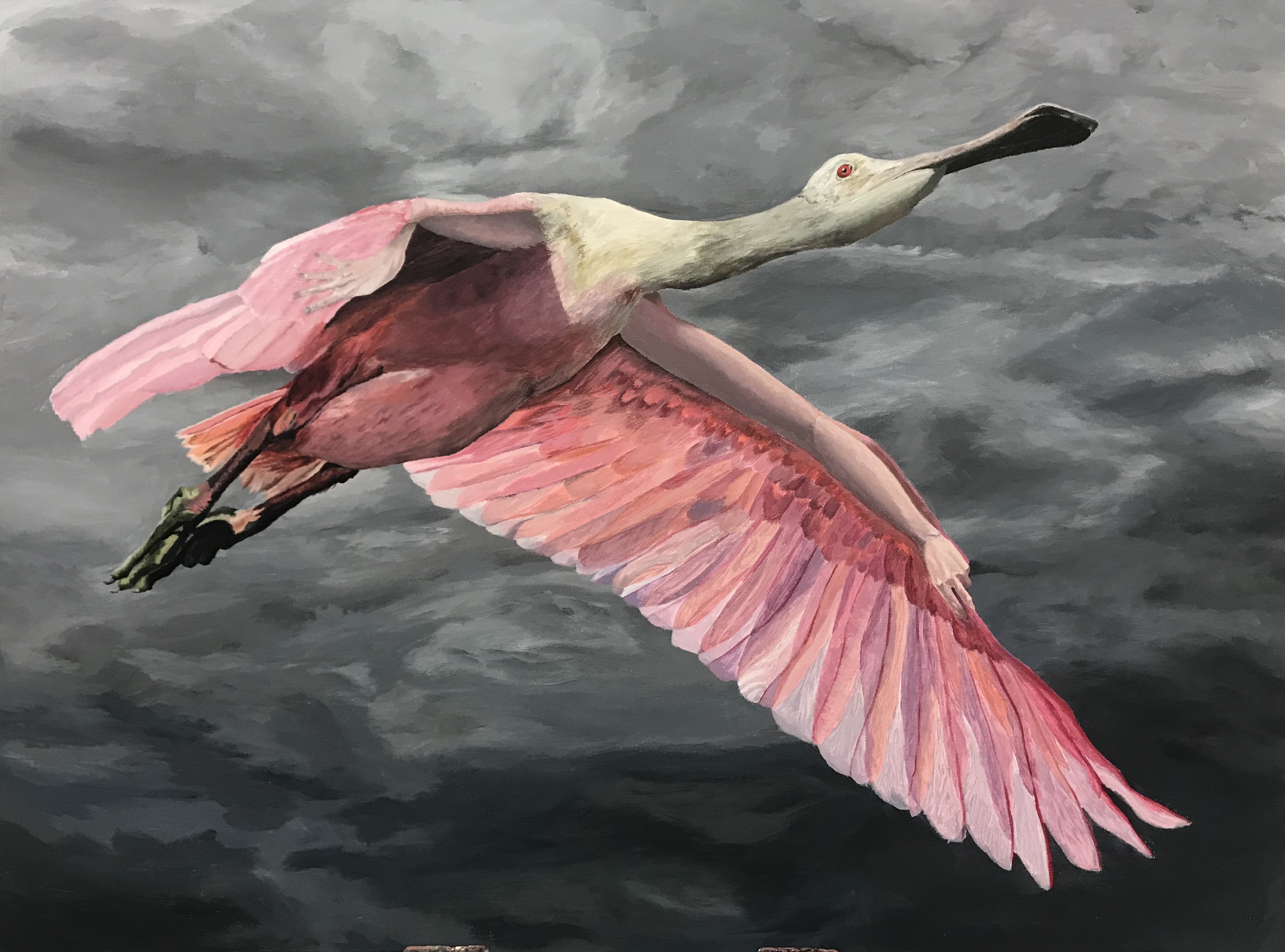 painting of a rose flatbill bird flying with human arms under her/his/their wings